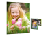 HP Everyday Photo Paper - Framsidan