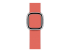 Apple 40mm Modern Buckle - Närbild